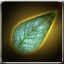 Green Leaf of Rafflesia